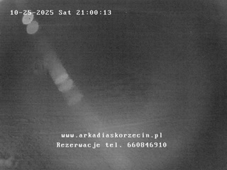 Kamera internetowa - Skorzęcin